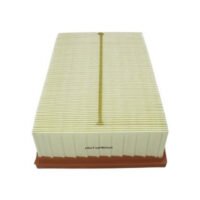 AUTOMEGA Lucht Filter