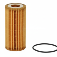 Palidium Olie Filter